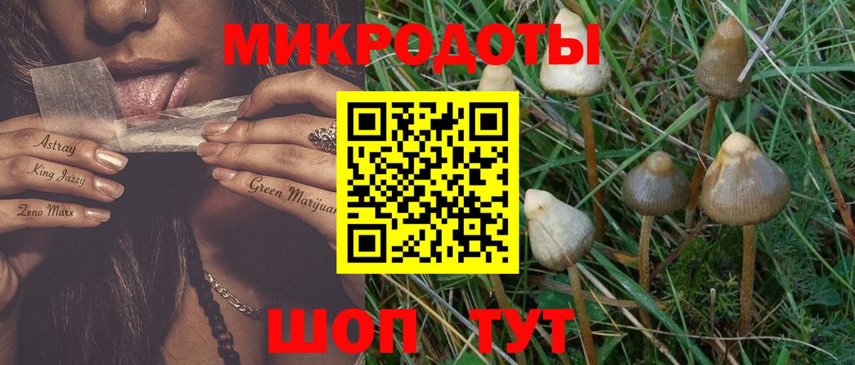 Псилоцибиновые грибы прущие грибы Кувандык